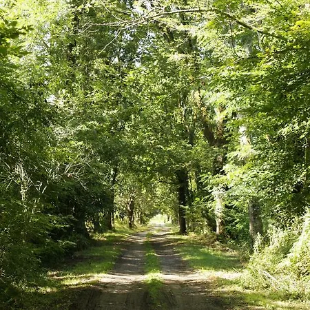 Hébergement de vacances La Chapelle Du Chateau