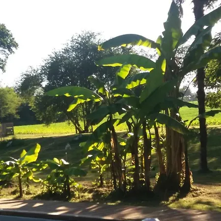 Hébergement de vacances La Chapelle Du Chateau *