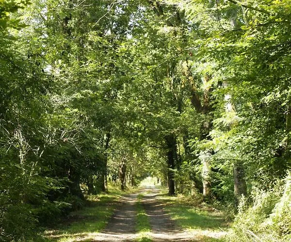 Dom wakacyjny La Chapelle Du Chateau