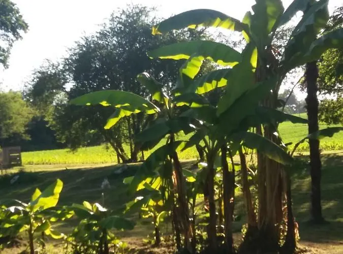 Dom wakacyjny La Chapelle Du Chateau *