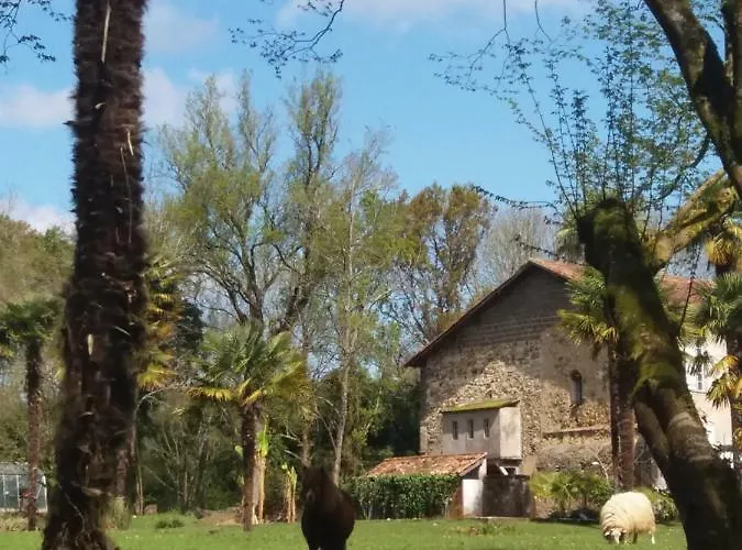 La Chapelle Du Chateau Dom wakacyjny Pouillon